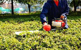 绿篱修剪机齿轮